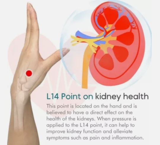 Sugar Control LI4 Acupressure Point Clip